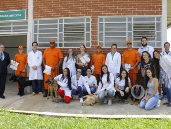 Relatório do Atendimento Médico Veterinário dos heróis de Brumadinho