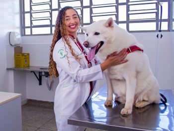Clínica Veterinária do UNICEPLAC fará vacinação gratuita contra raiva