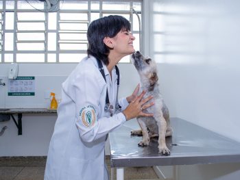 O inverno chegou, você sabe se seu pet está sentindo frio?