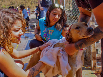 Curso de Medicina Veterinária inicia projeto de apadrinhamento de ONGs