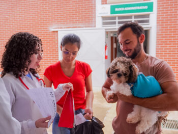 Alunos de Medicina Veterinária do Centro Universitário UNICEPLAC castram cães em campanha gratuita